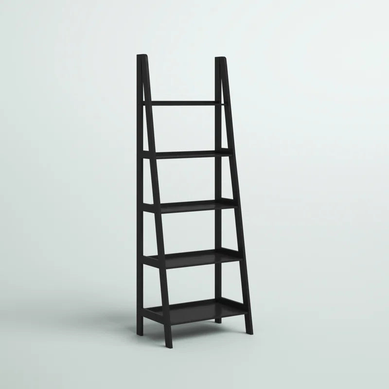 Black Ladder bookshelve