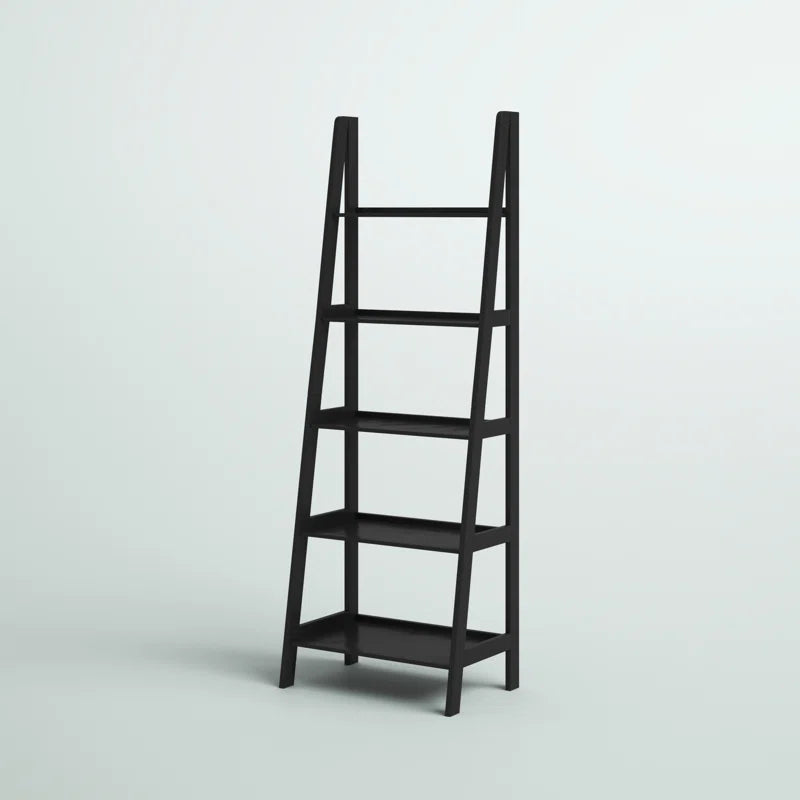 Black Ladder bookshelve