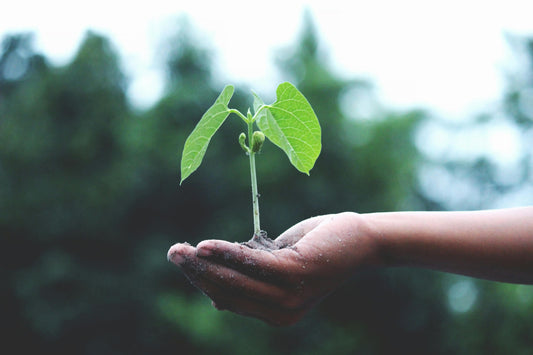 Sustainable Design for a Better Tomorrow