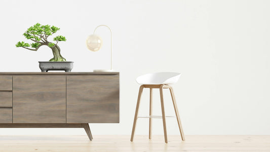 The Art of Minimal Living