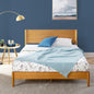 Acorn Mid-Century Platform Bed